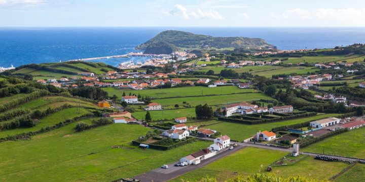 Inovações Sustentáveis: A Produção de Leite de Pastagem Biológico nos Açores